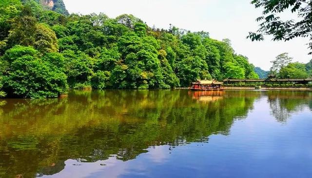 宜宾传媒直播，探寻自然美景，发现内心平静之旅