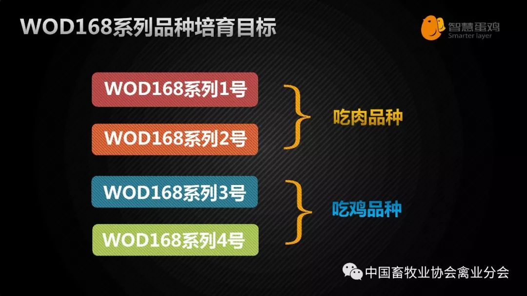 新澳精准资料免费提供58期,精准分析实践_YDN93.594珍藏版