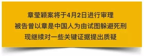 章莹颖案件最新进展详解，关注案件进展，不容忽视的细节与真相探索