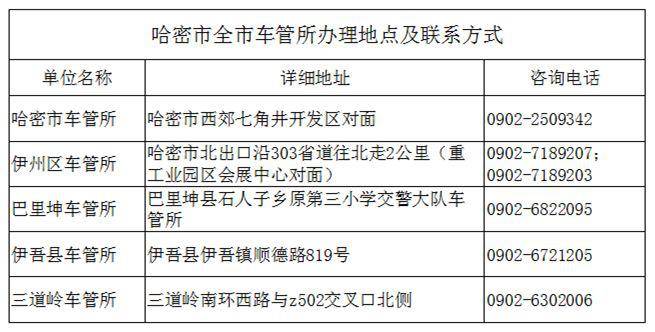 哈密市副市长名单最新一览及查询步骤指南