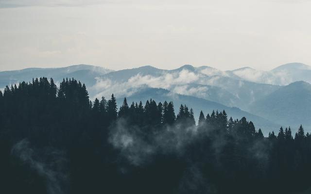 废柴视频网最新入口，自然美景的治愈之旅探索