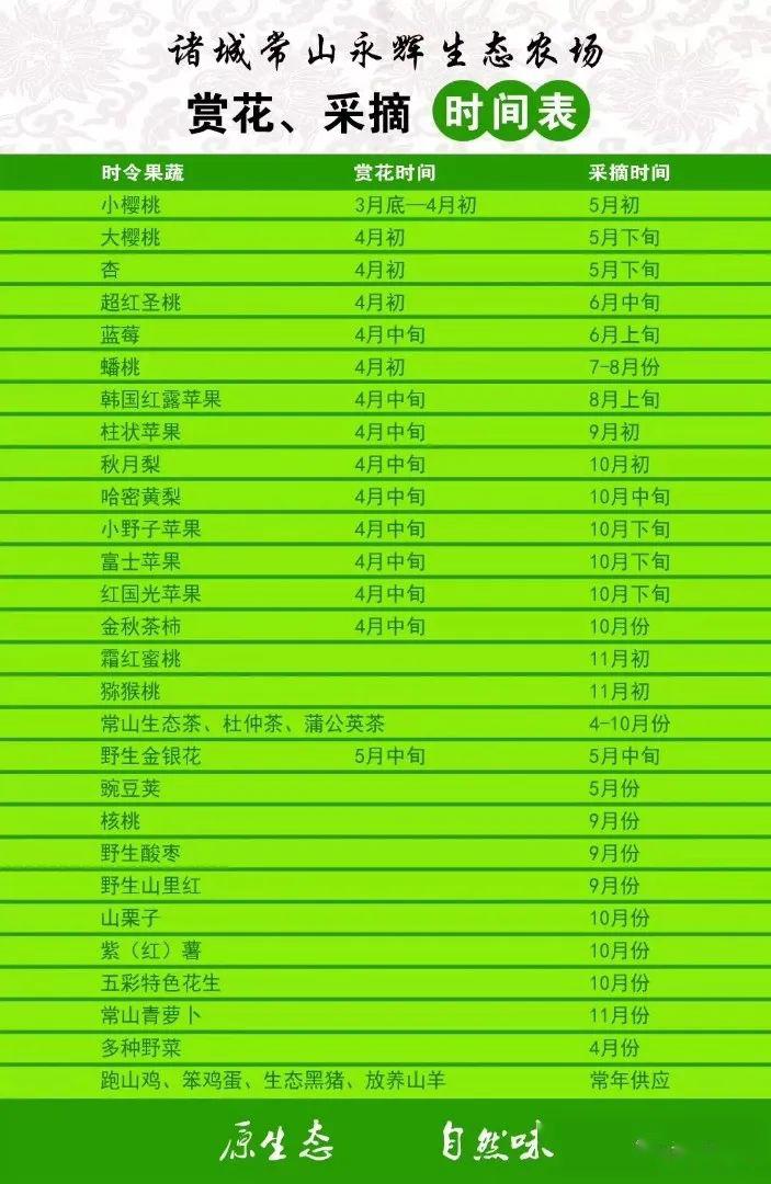 新奥门天天开奖结果查询,策略调整改进_PNL96.311生态版