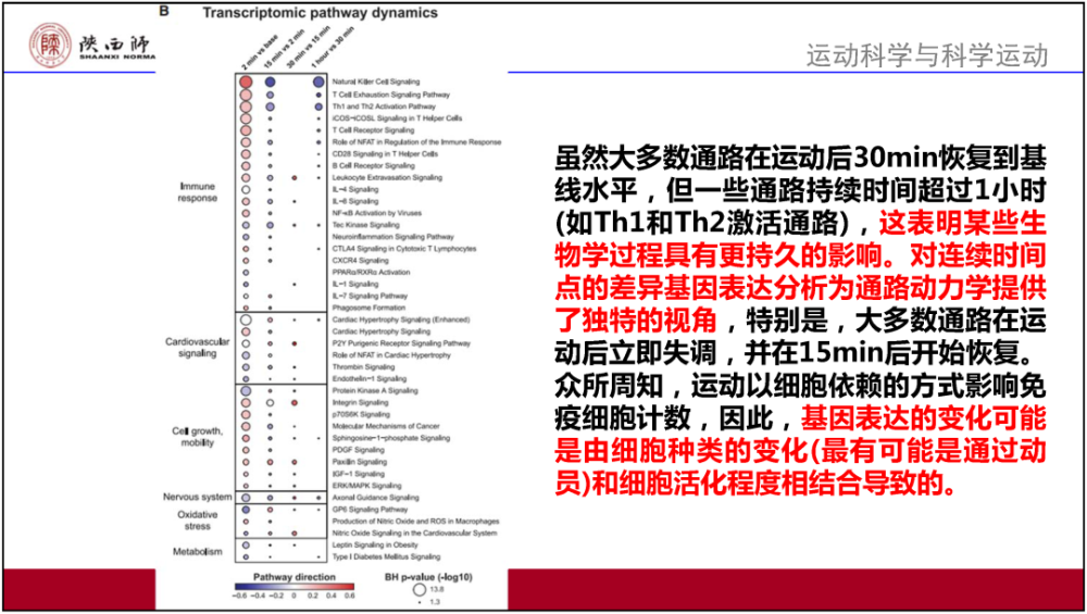 2024新澳门特免费资料的特点,全面信息解释定义_CBC96.930明星版