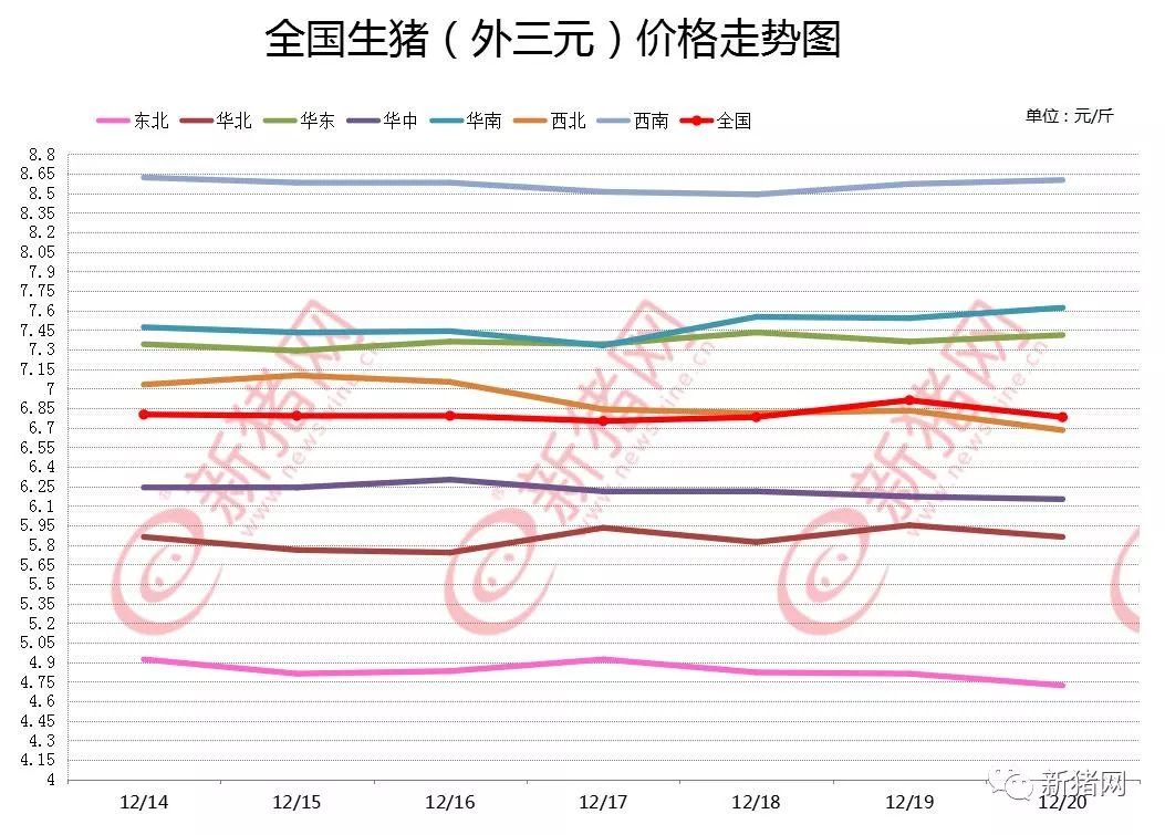 广东阳江的最新猪价,广东阳江的最新猪价及其影响因素分析