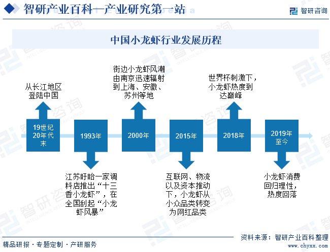 2024年香港正版免费大全,高效执行方案_YLD82.167互联版