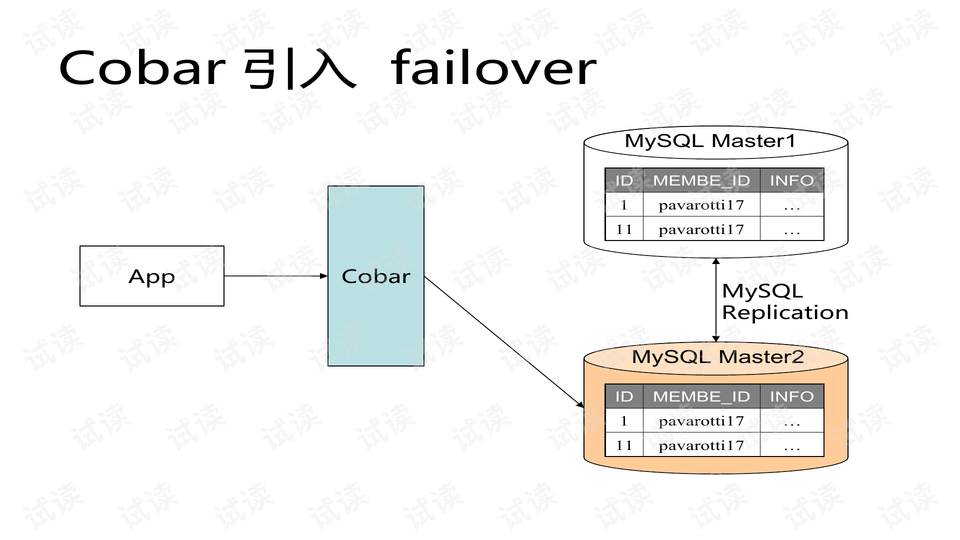 4949免费正版资料大全,数据引导设计方法_LJT82.543定向版