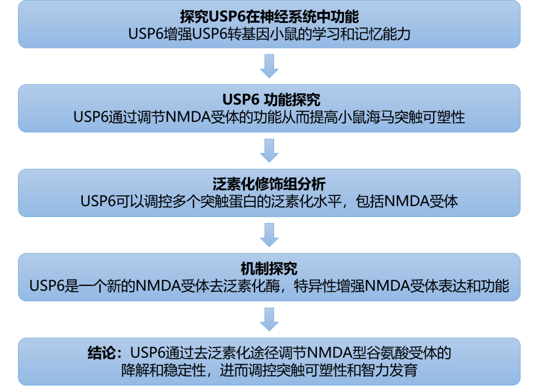 2024 新澳今晚资料,持续改进策略_GKG82.677零障碍版