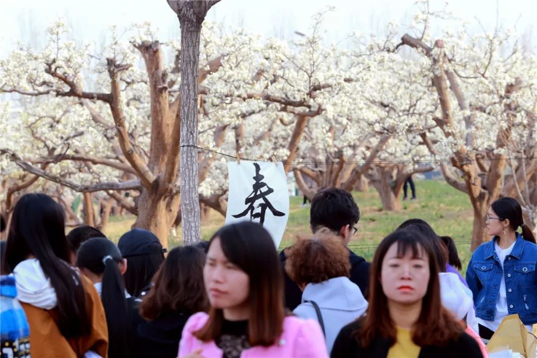 最新一期梨园春，探索自然美景的轻松之旅之旅。