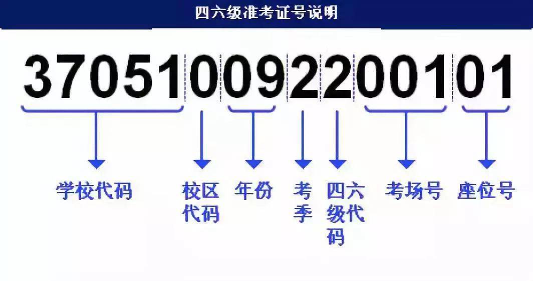 新澳门今晚开特马开奖,精准解答方案详解_YJG82.598专业版