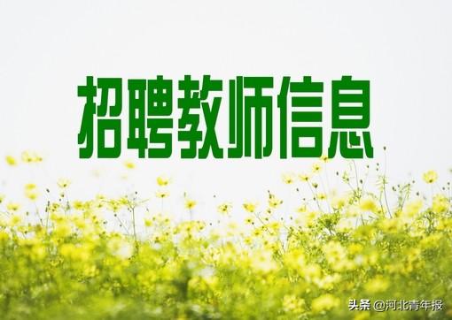 涉县最新招聘信息揭秘，深度分析与个人洞察