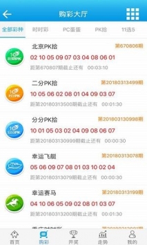 澳门王中王100%期期中,实践调查说明_CHR82.473便签版