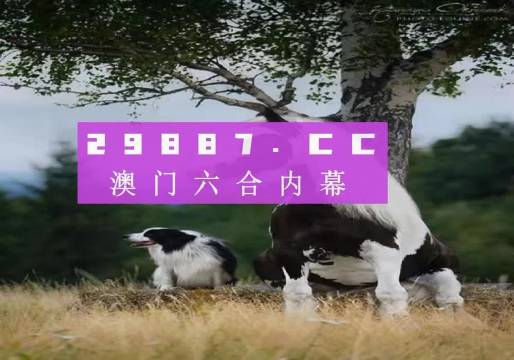 龙腾虎跃 第3页