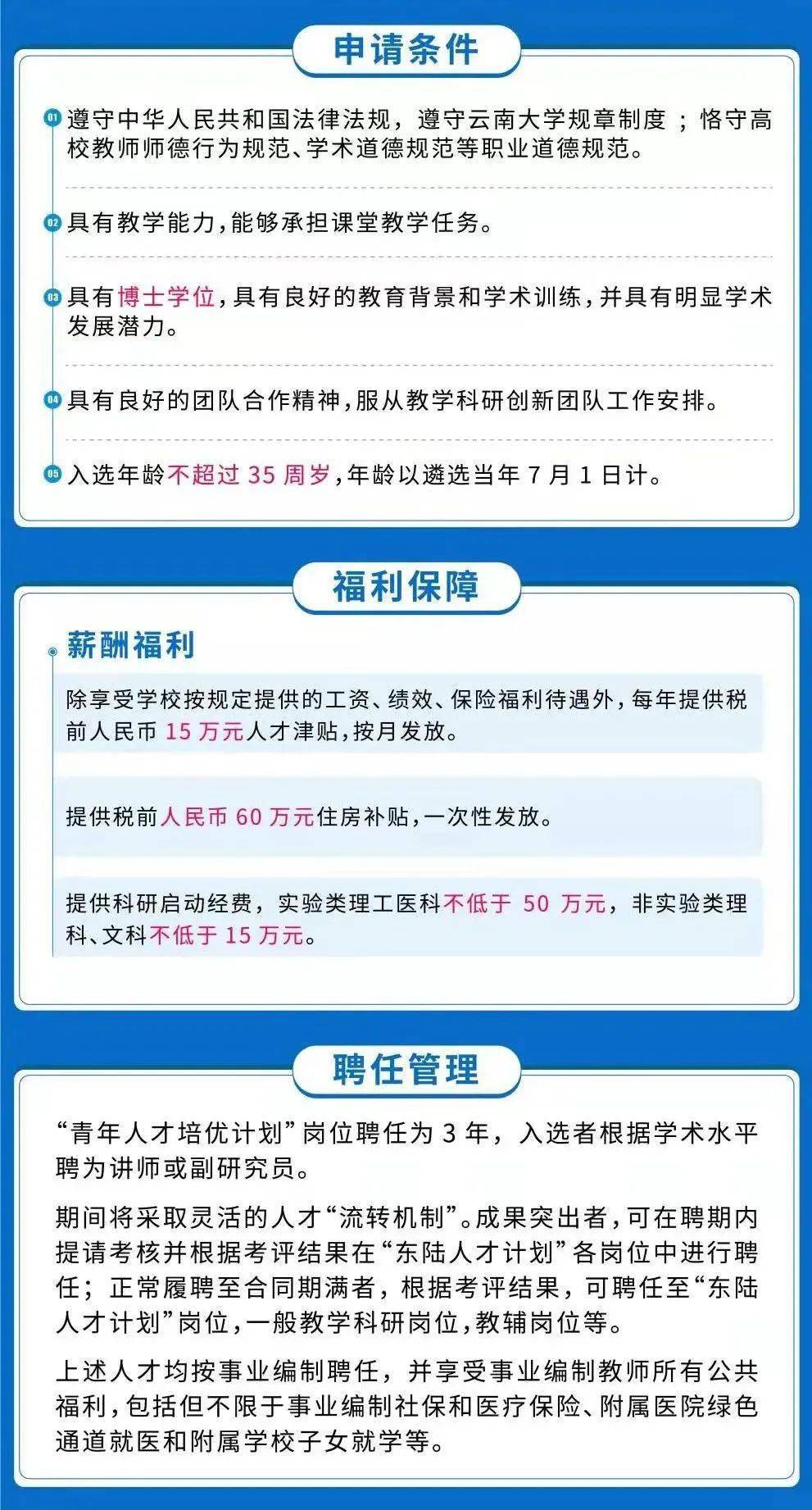 大理最新招聘信息，科技引领招聘新体验，重塑未来职场格局