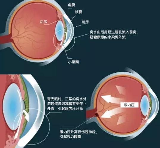 掌信最新版，科技重塑沟通，智能体验触摸未来