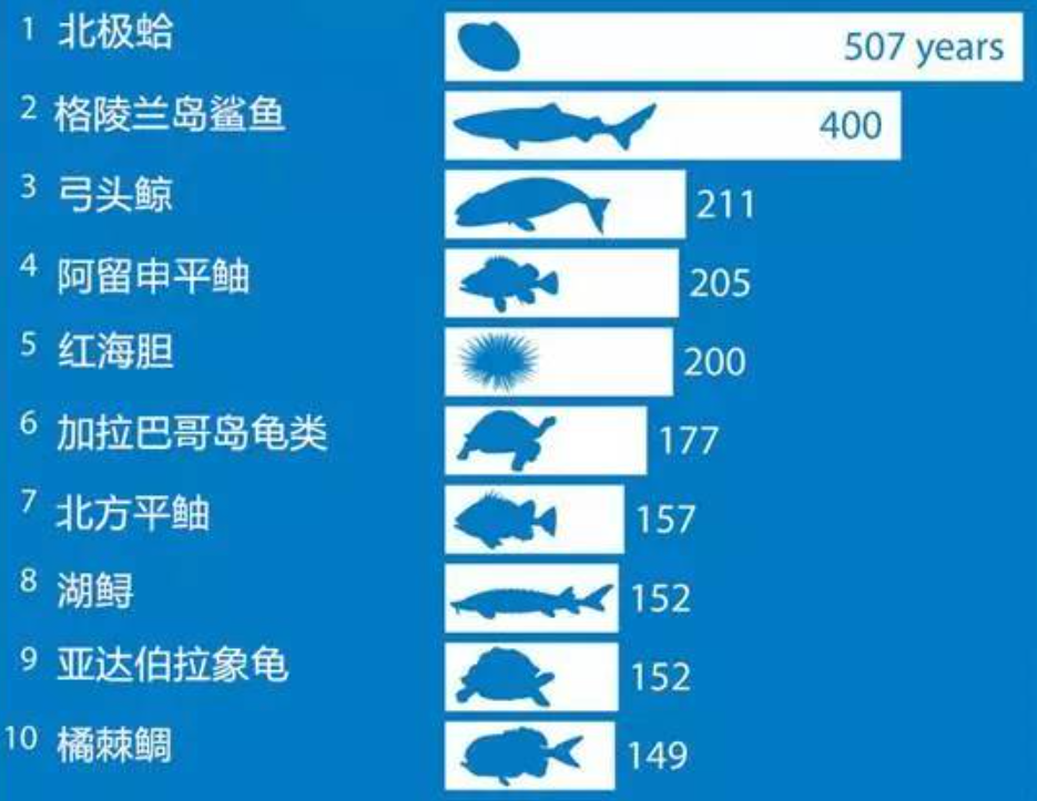 2024又要开始做核酸了,科学分析严谨解释_RCF82.563潮流版