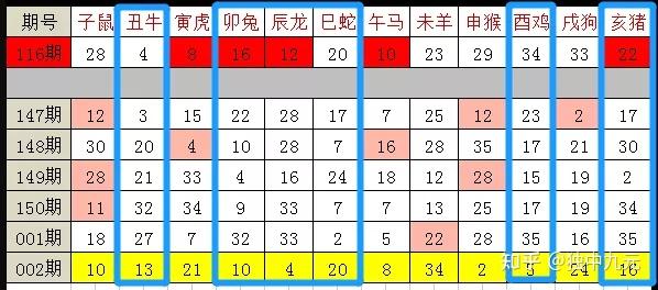 澳门统计器生肖统计器,数据导向程序解析_RJZ82.811目击版