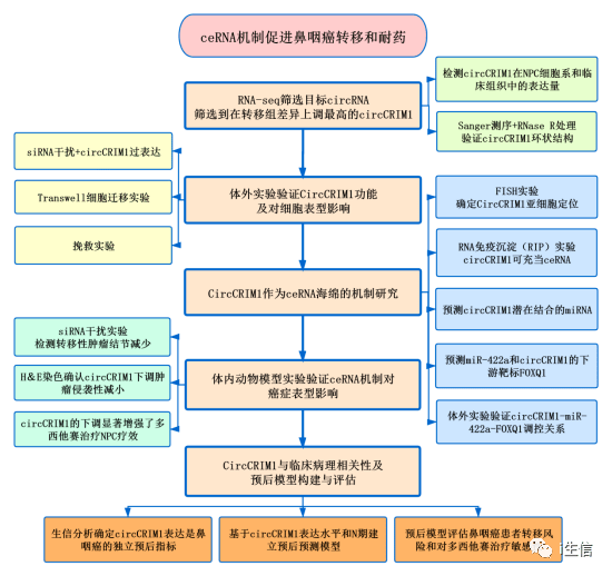 新澳门免费资料大全精准,机制评估方案_BCT82.672清晰版