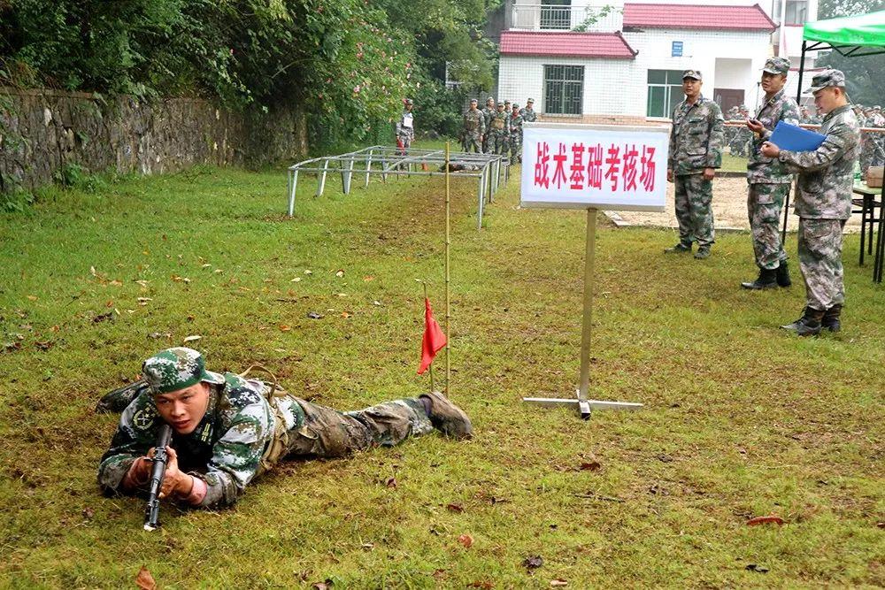 今日军事新闻最新消息新闻,今日军事新闻最新消息新闻，如何获取并解读军事资讯的详细步骤指南