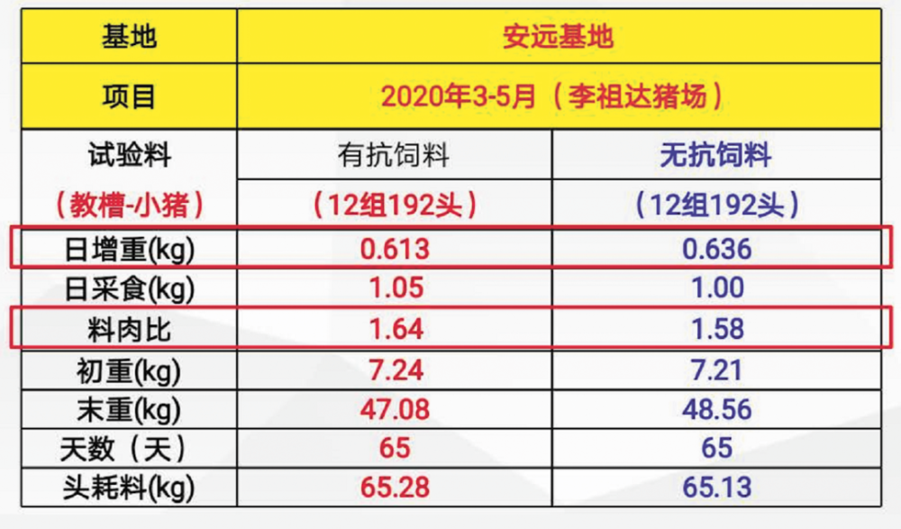 2024年开奖记录历史,执行验证计划_DDL63.521强劲版