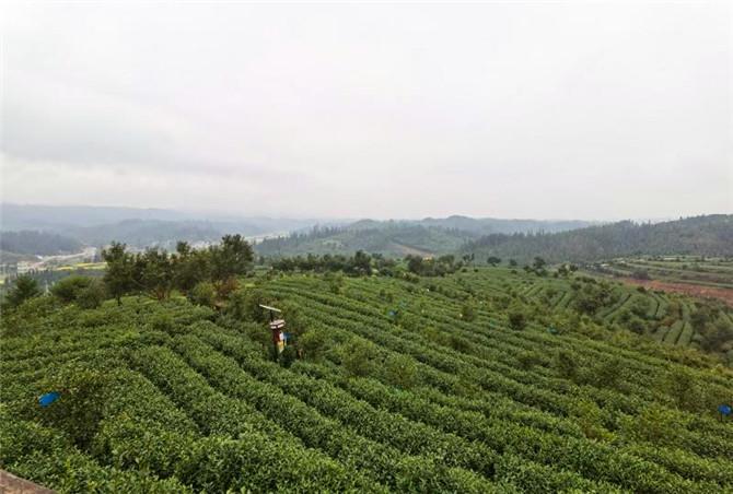 潘丽娟 第3页