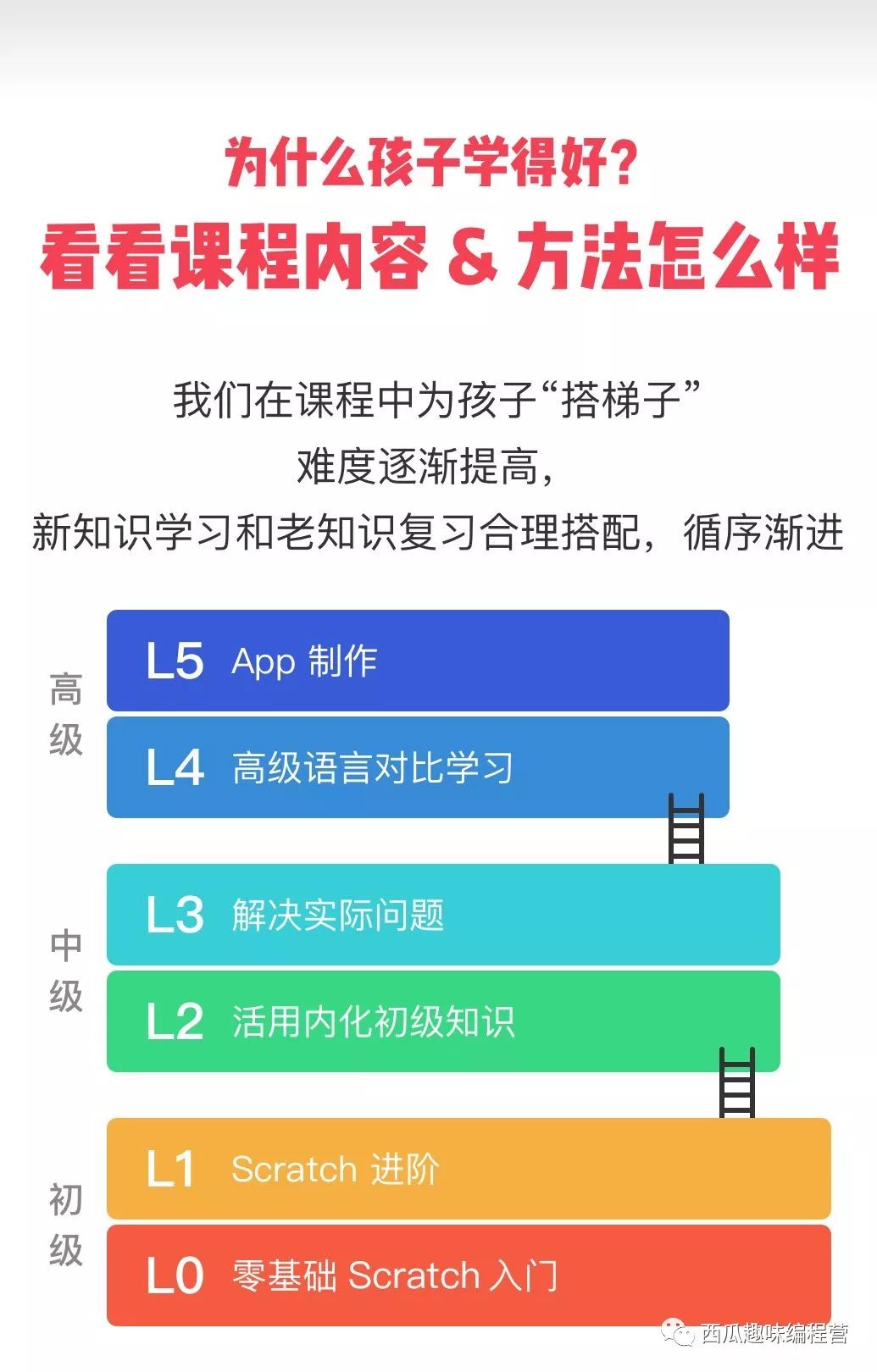 新澳六叔精准资料大全,数据导向计划_IRY35.655共享版