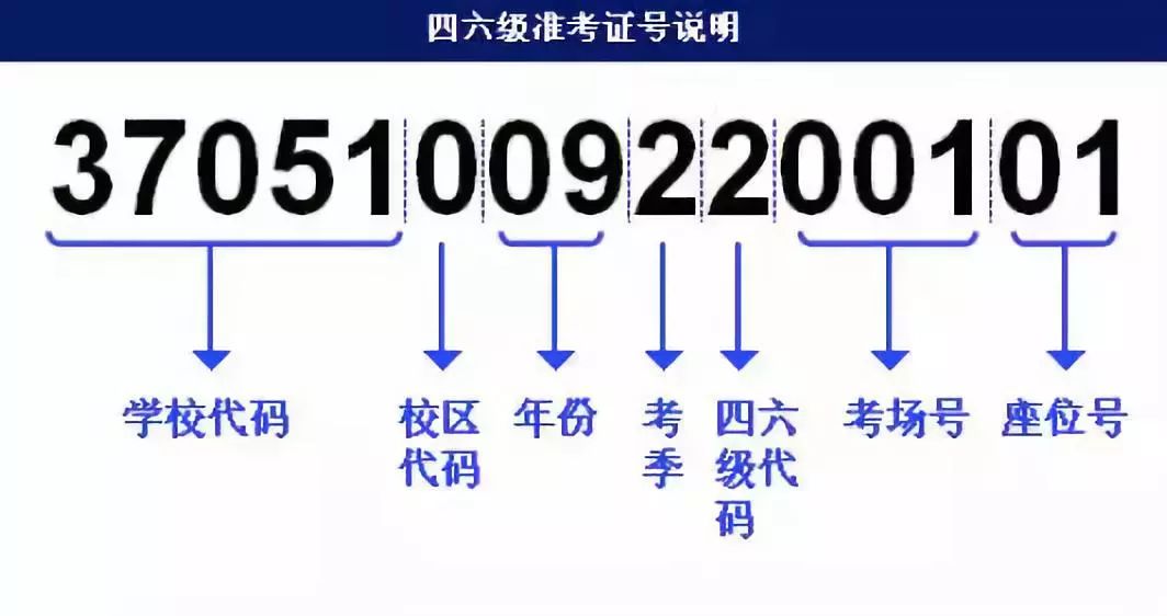 跑狗图2024年图库大全,快速解答方案设计_CTI35.775冒险版