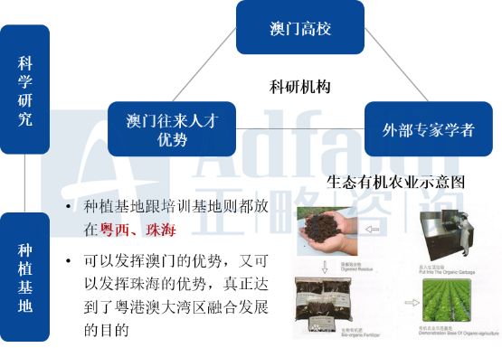 新澳资料免费资料大全一,数据详解说明_WJM78.408内置版