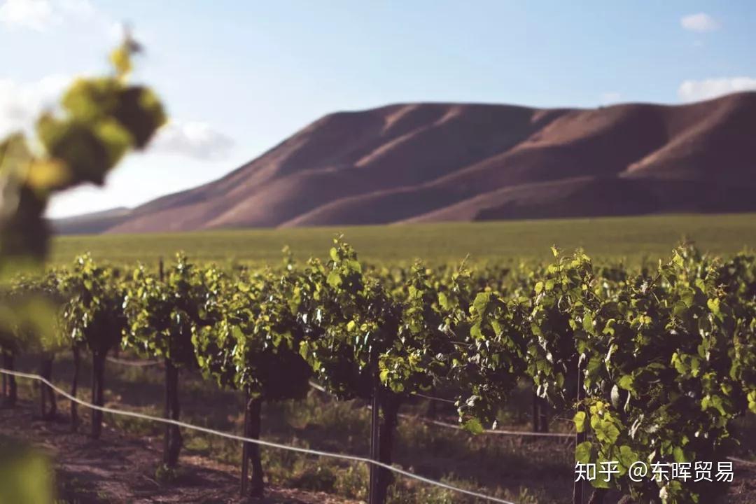 沙场2016最新一期，与自然美景的浪漫遨游，探寻内心平和与喜悦之旅