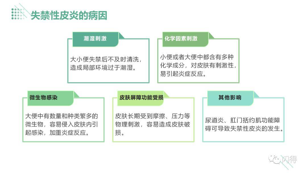 失禁性皮炎最新护理指南（2024版）