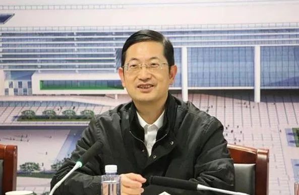 杭州市副市长名单最新全面指南