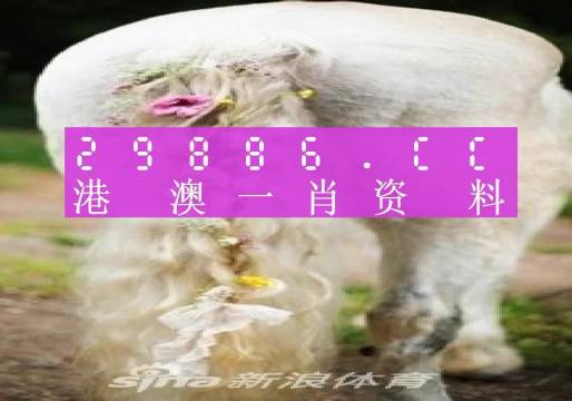 澳门一肖一码必中一肖213期,资源部署方案_HEC83.369单独版