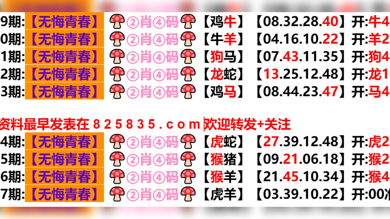 2024新澳一码一特,标准执行具体评价_ZCD9.771趣味版