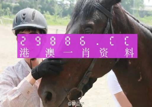 澳门今晚必中一肖一码准确9995,实地数据评估分析_LBU9.434后台版