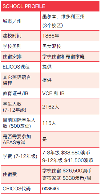 2024新澳最准确资料,专业解读评估_QNQ83.691精英版