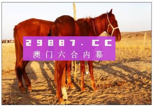 新奥门4949正版大全大众网,即时解答解析分析_CNA9.899梦想版