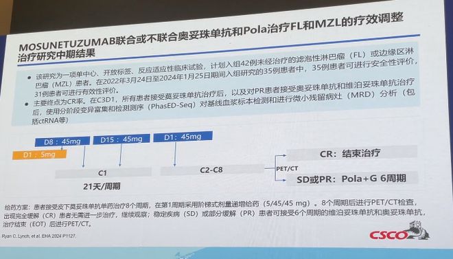 2023新澳精准资料,安全设计方案评估_未来版36.567