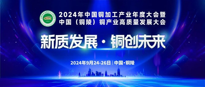 2024新澳正规最精准资料,创新策略执行_互动版19.735