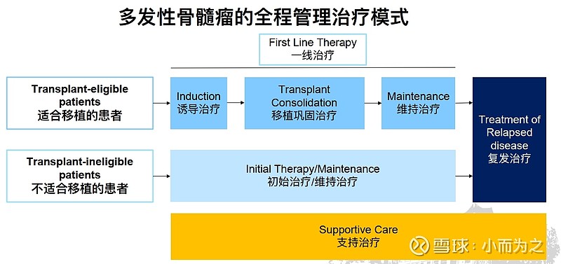 多发性骨髓瘤最新疗法,多发性骨髓瘤最新疗法，突破与希望