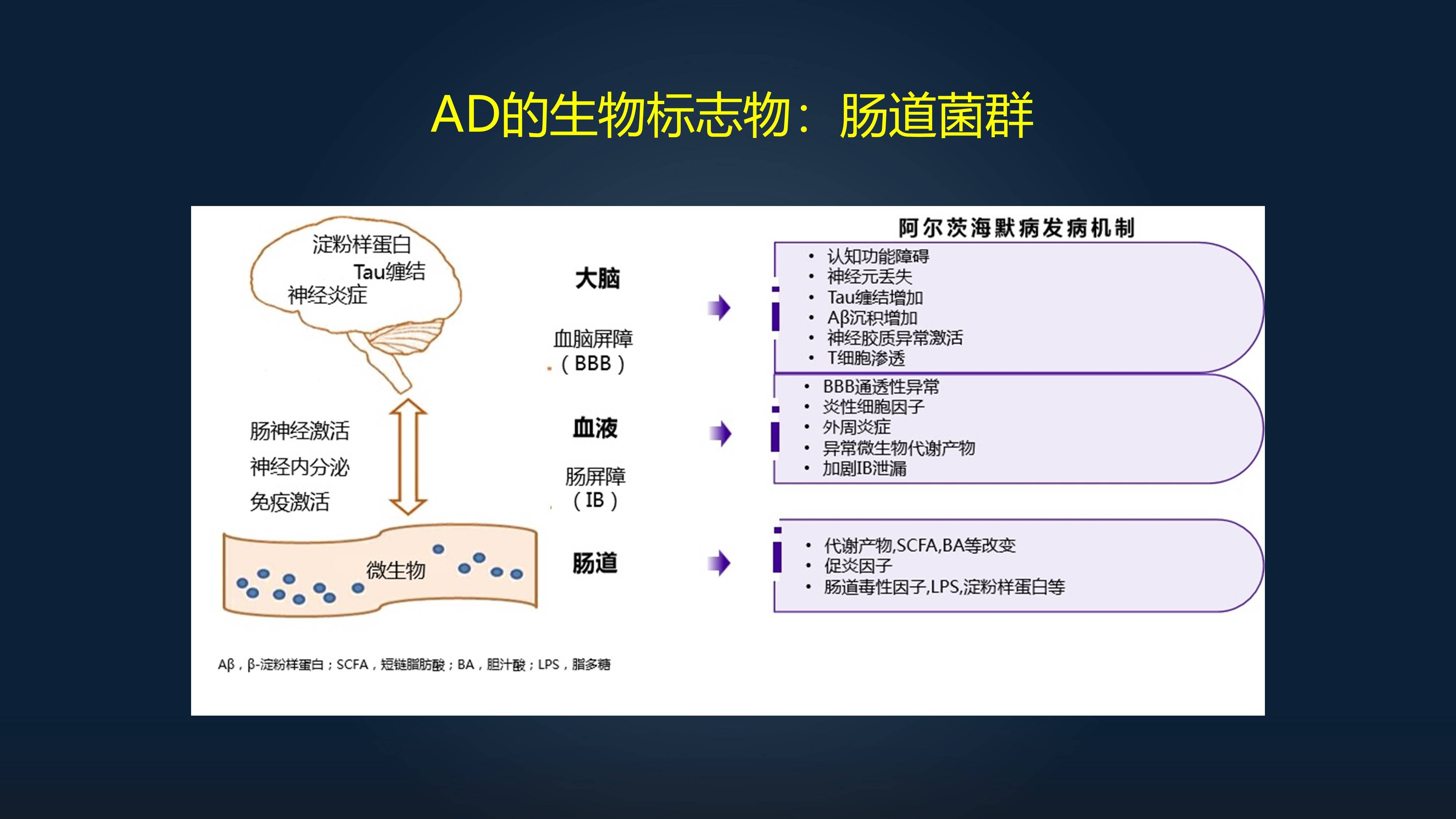 7777788888新版跑狗图解析,多元化诊断解决_生态版55.589