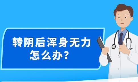 新澳精准资料免费提供,快速产出解决方案_完整版74.919