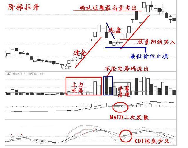 澳门最精准正最精准龙门图库,社会承担实践战略_闪电版36.600