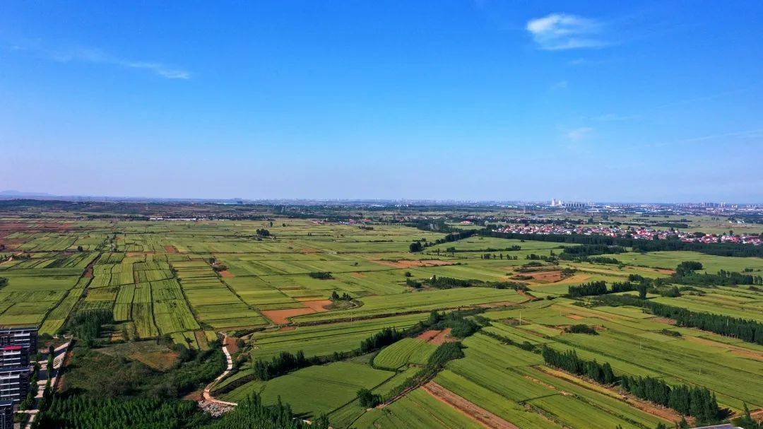 黑龙江宝泰隆与自然美景的邂逅，探寻内心平和之旅的最新动态