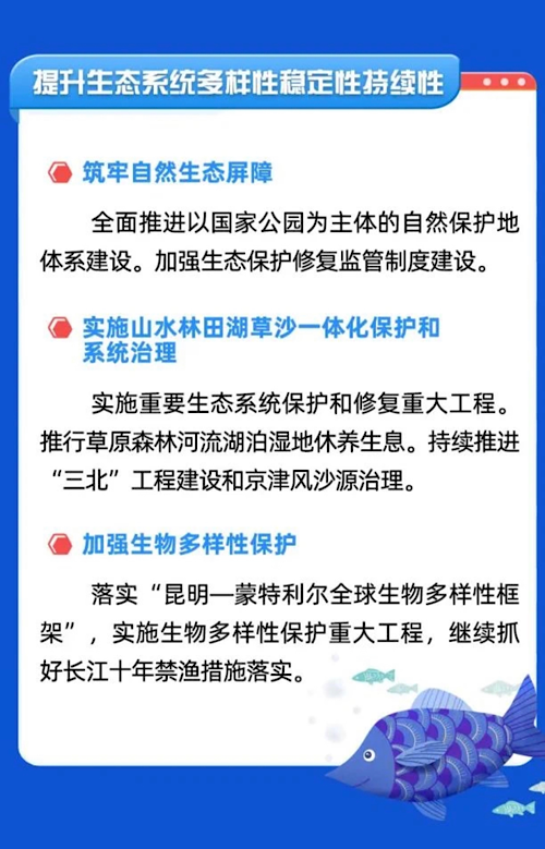 江堰最新疫情全面解读，应对策略与建议