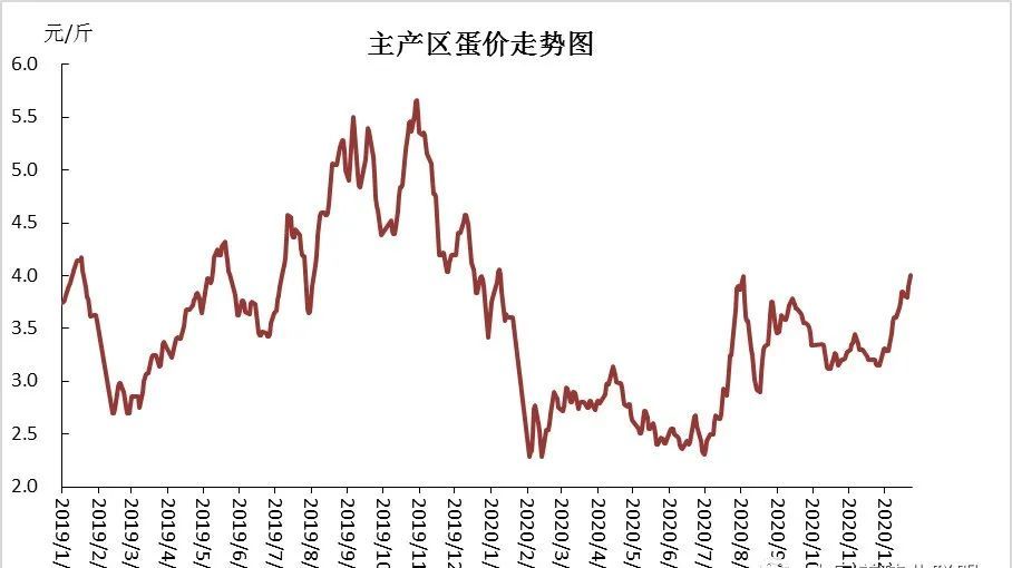 最新禽蛋价格走势分析与预测——初学者与进阶指南