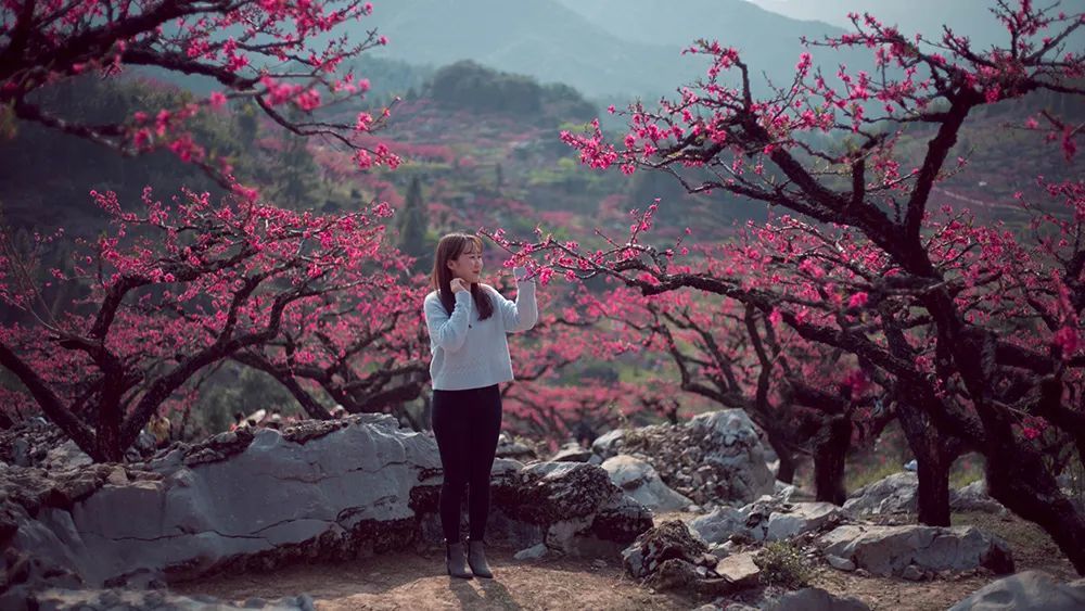 王小久踏遍美景，探寻内心桃花源