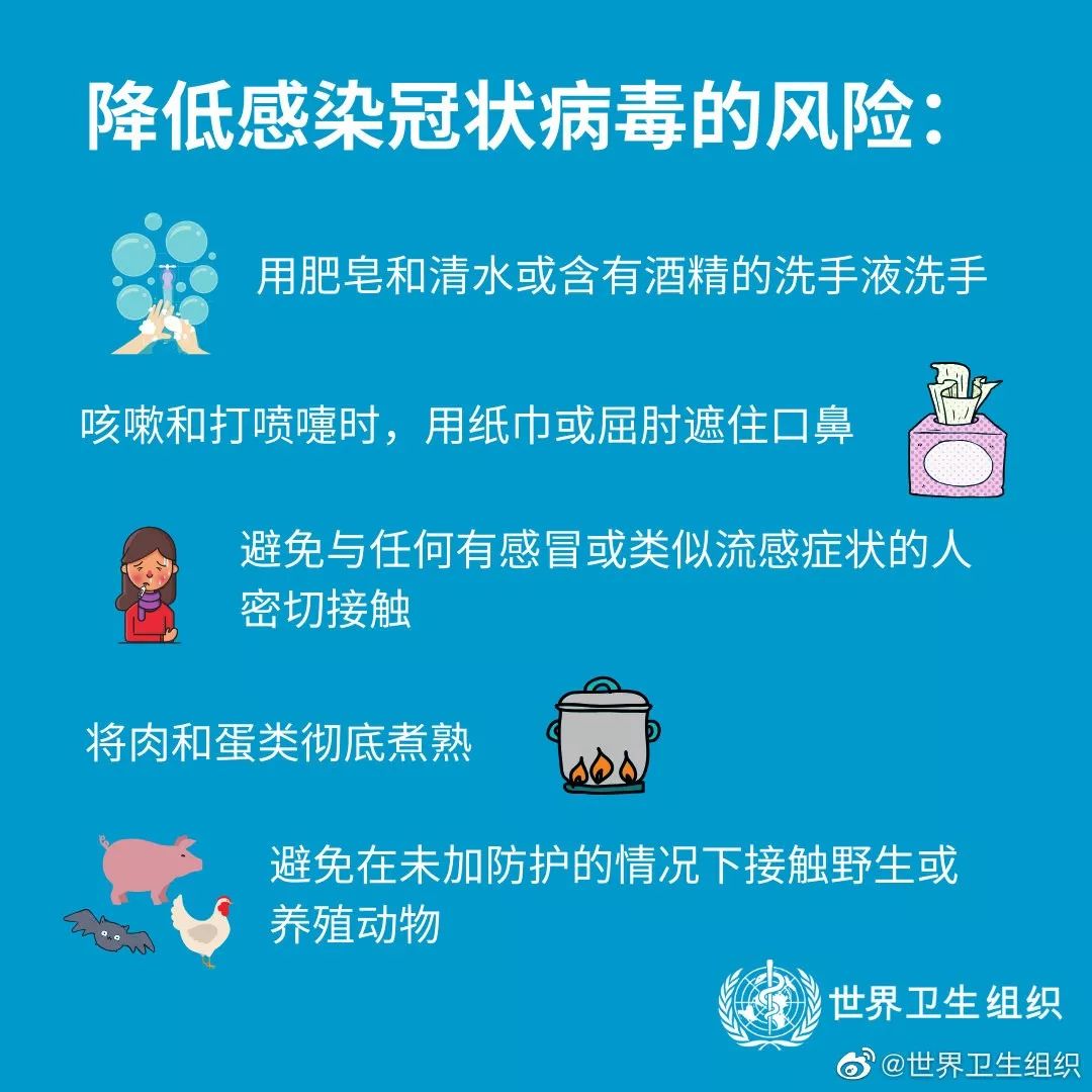 深入了解与应对之策，最新病毒帕的威胁与防范策略