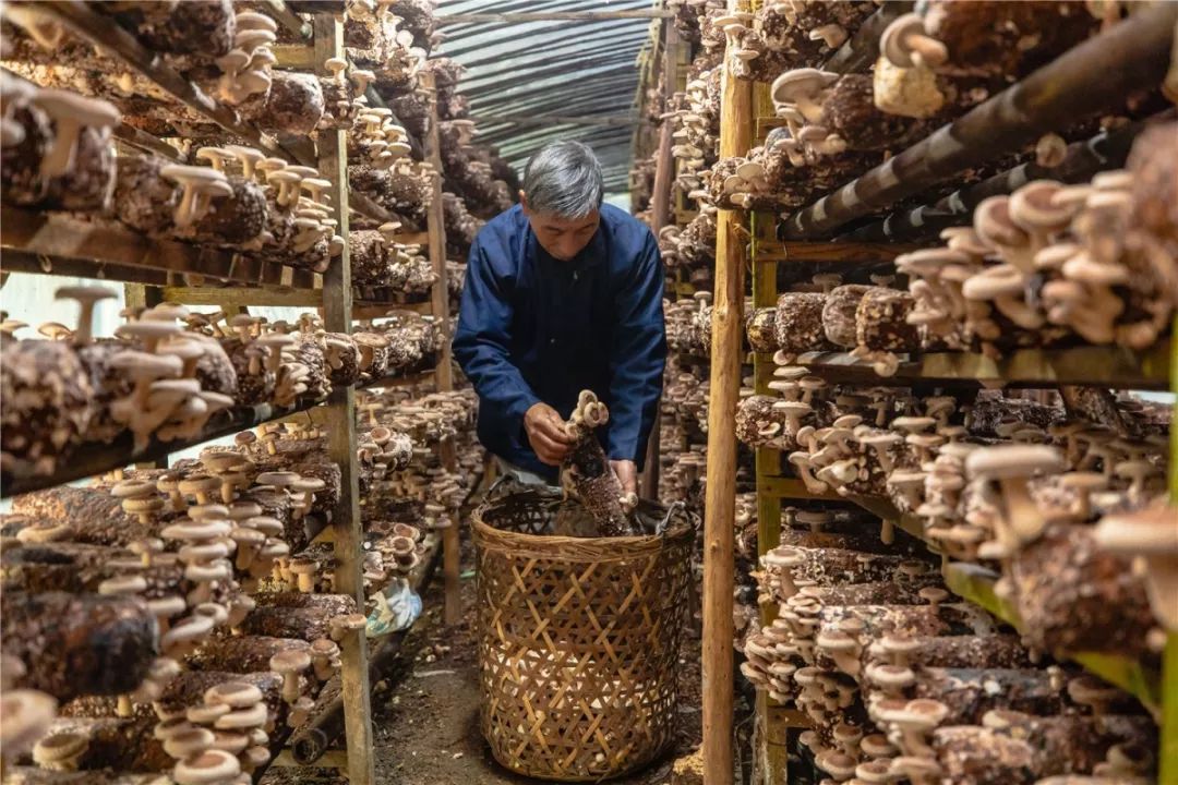 东光县小巷探秘，美食瑰宝的隐藏之地