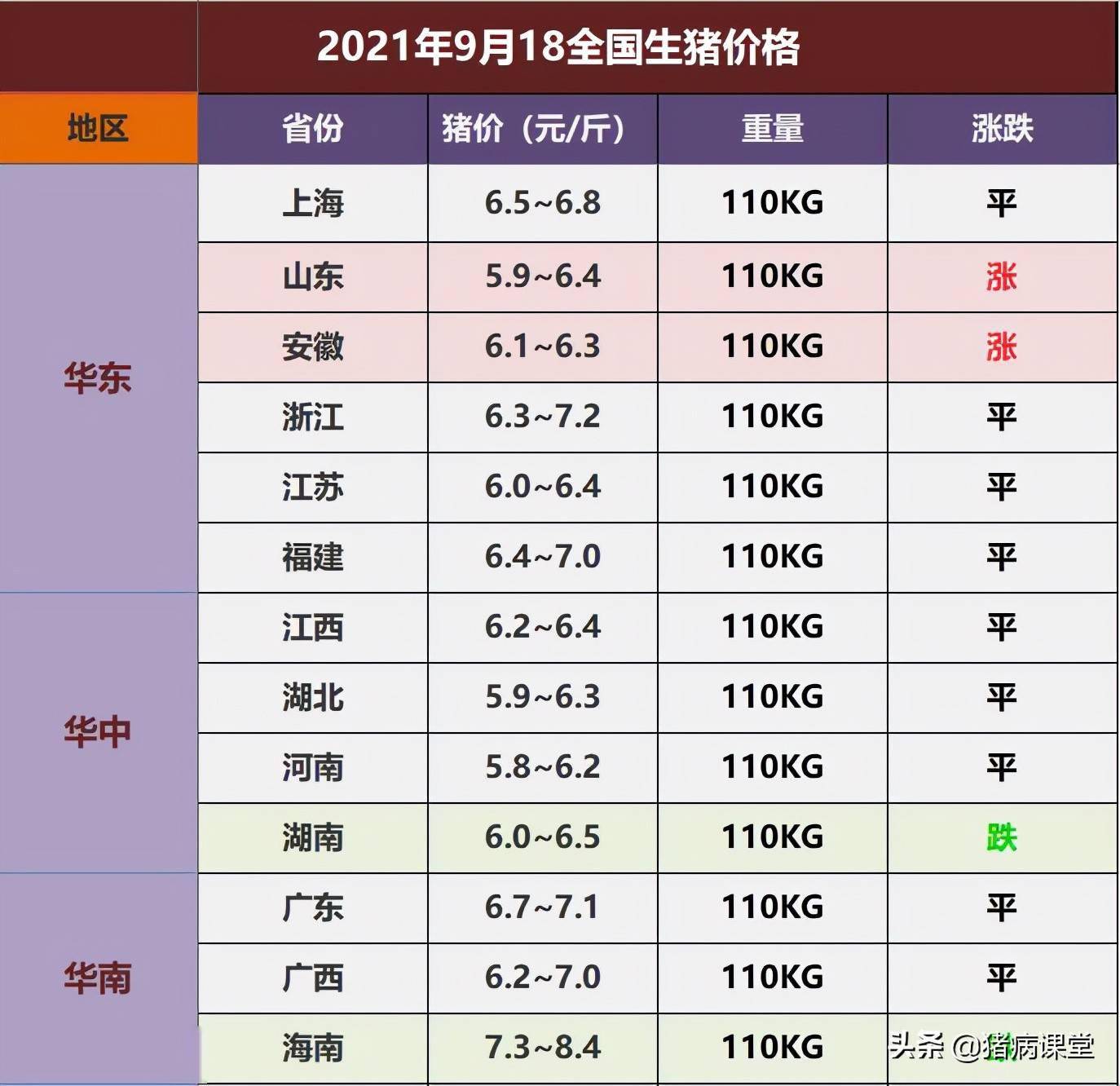 山东今日生猪价格行情概览，最新指南与动态分析