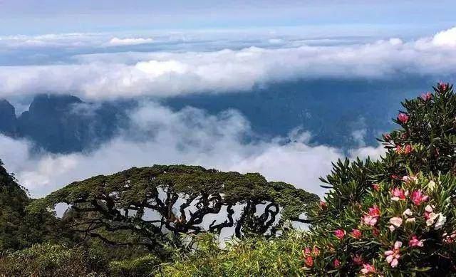 最新参公规范，自然美景的探索之旅