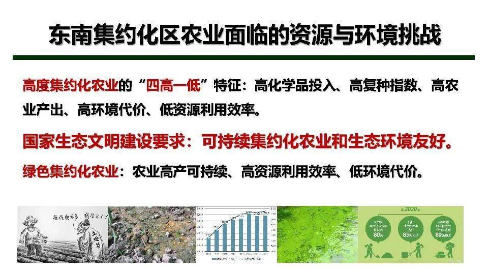 河北绿农集团最新公告观点阐述与分析揭秘